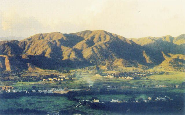 wugui.jpg